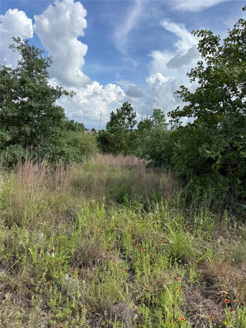 89 Pintail Lane