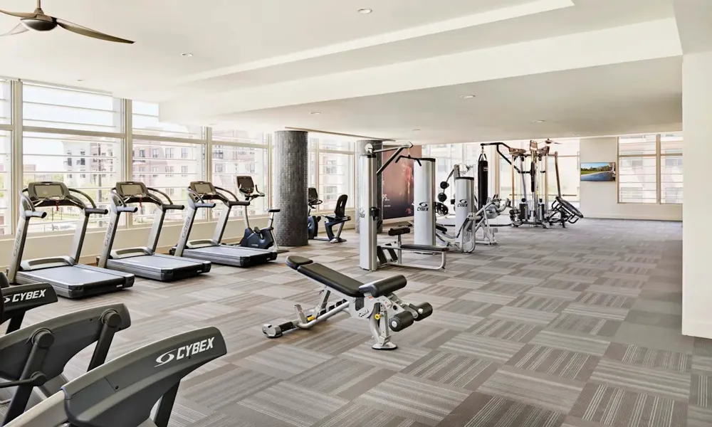 2727 Travis Street #505 Houston, TX 77006