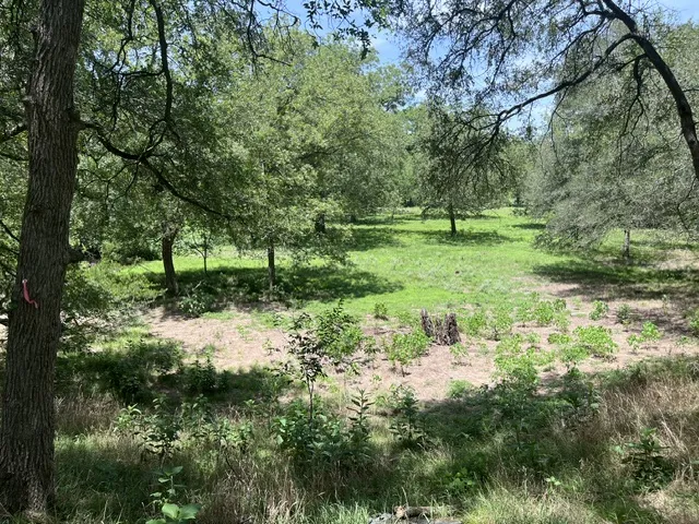 344 Bateman Road Red Rock, TX 78662