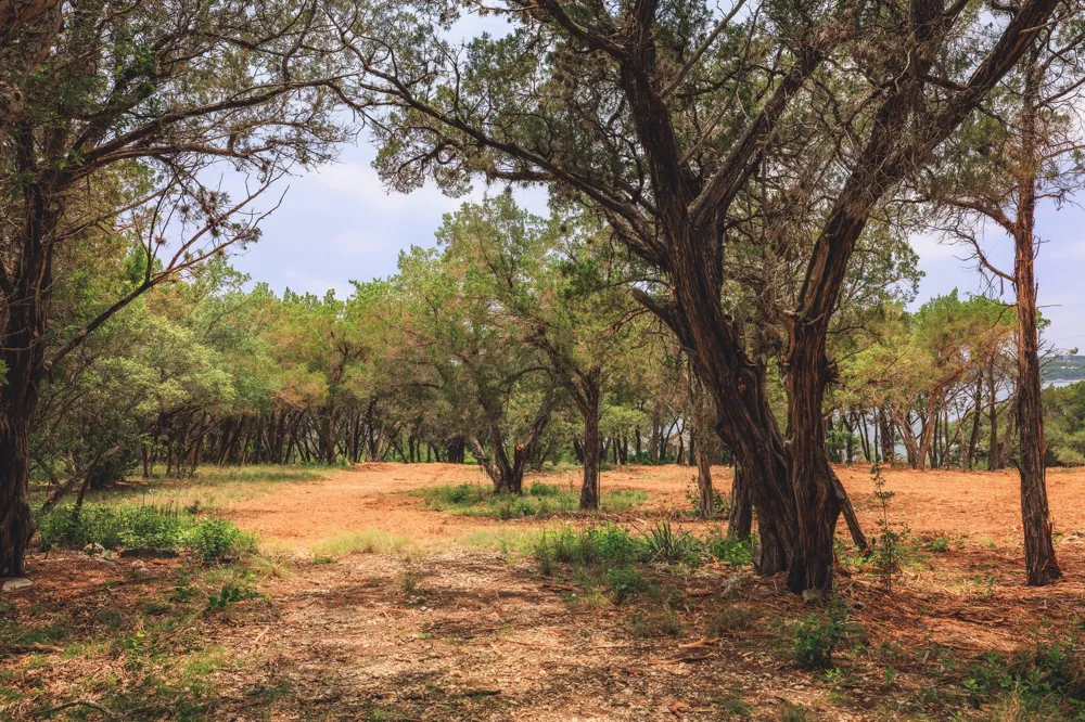 7100 Comanche Trail Austin, TX 78732