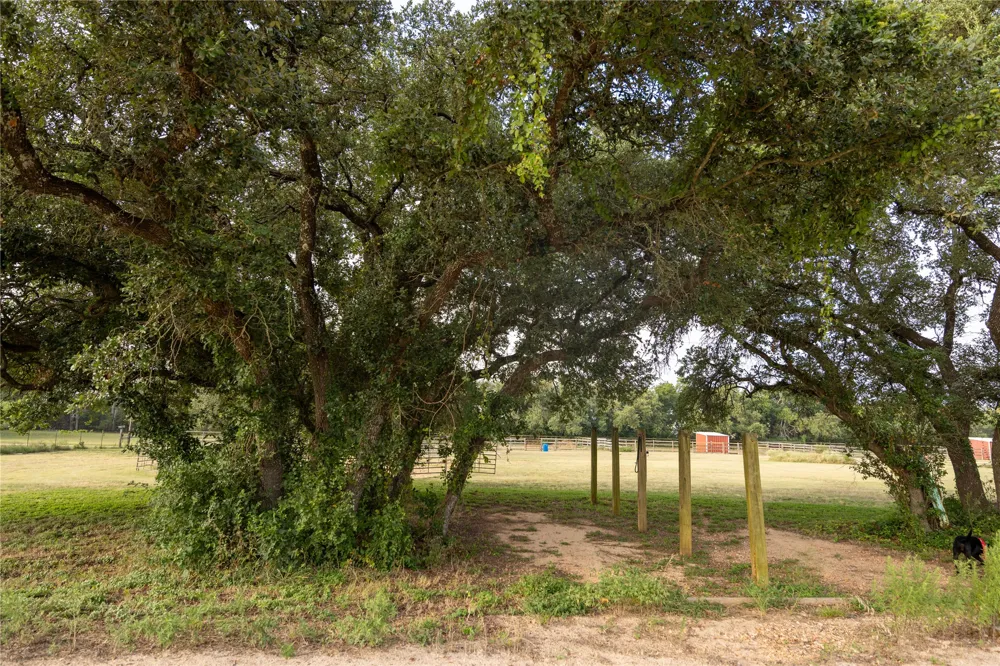 240 Lanier Ranch Road #B Driftwood, TX 78619