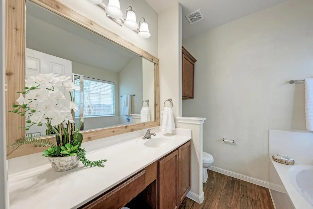 11309 Carrie Manor Street Manor, TX 78653