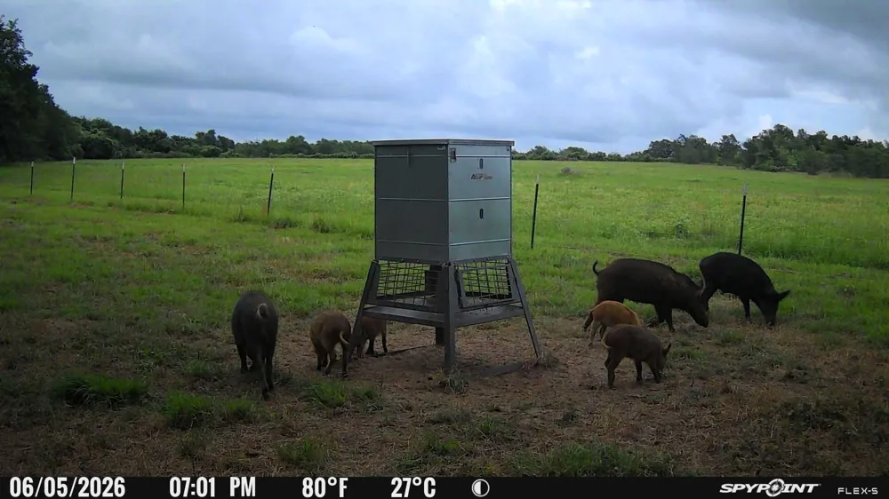 FM 979 Cameron, TX 76520