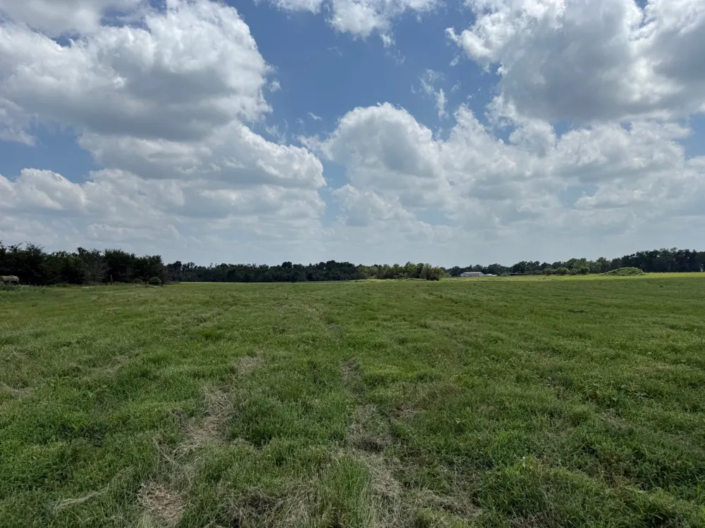 FM 979 Cameron, TX 76520