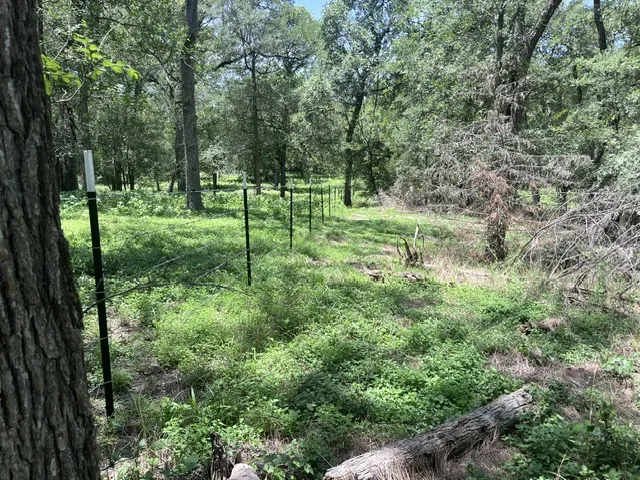 344 Bateman Road Red Rock, TX 78662