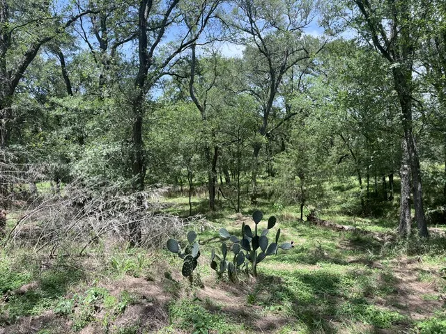 344 Bateman Road Red Rock, TX 78662