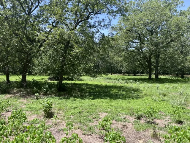 344 Bateman Road Red Rock, TX 78662