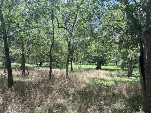 344 Bateman Road Red Rock, TX 78662