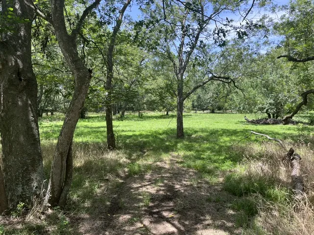 344 Bateman Road Red Rock, TX 78662