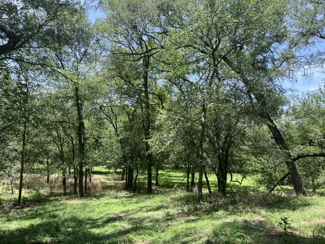 344 Bateman Road Red Rock, TX 78662