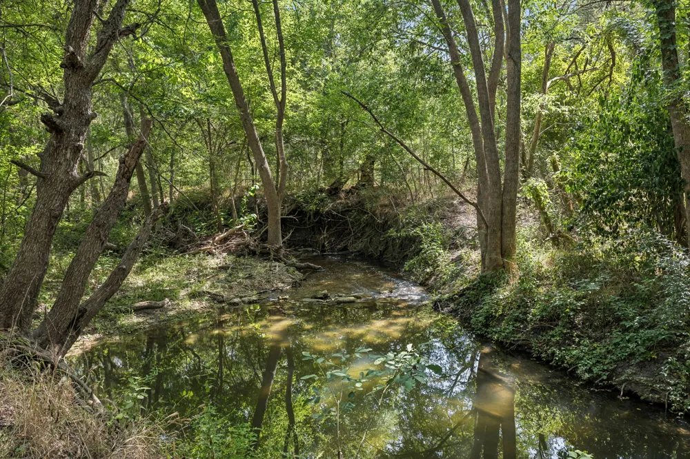 16001 Decker Lake Road Manor, TX 78653