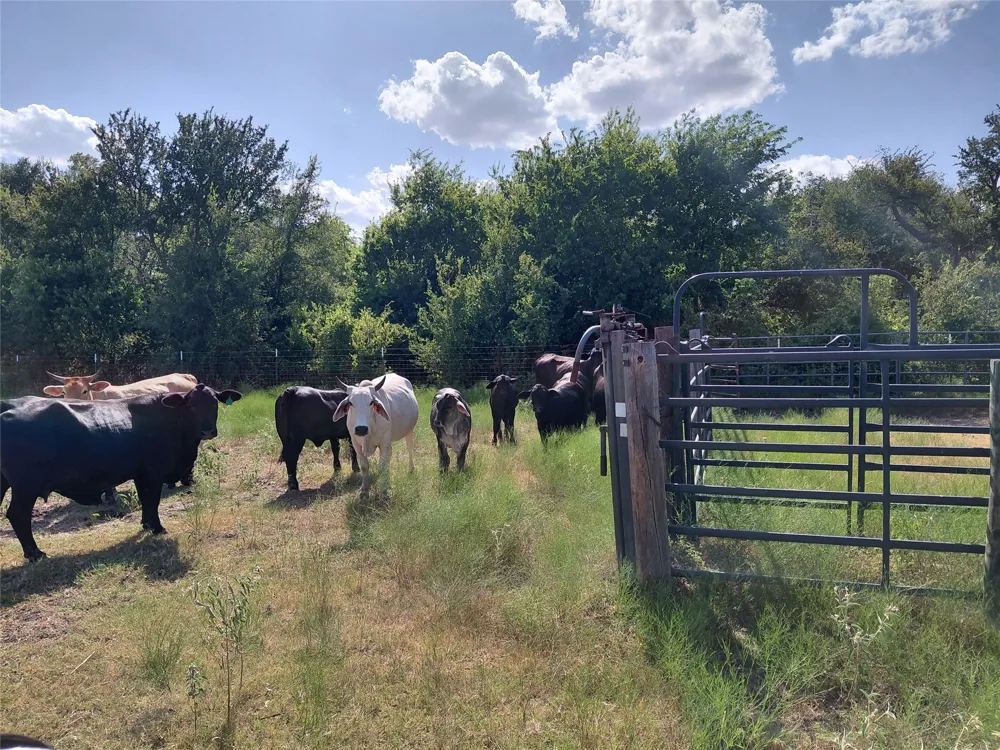 2838 County Road 201 Cameron, TX 76520
