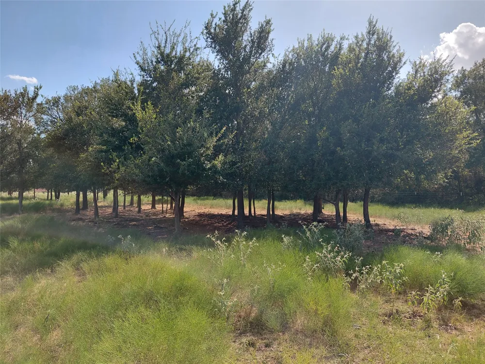 2838 County Road 201 Cameron, TX 76520