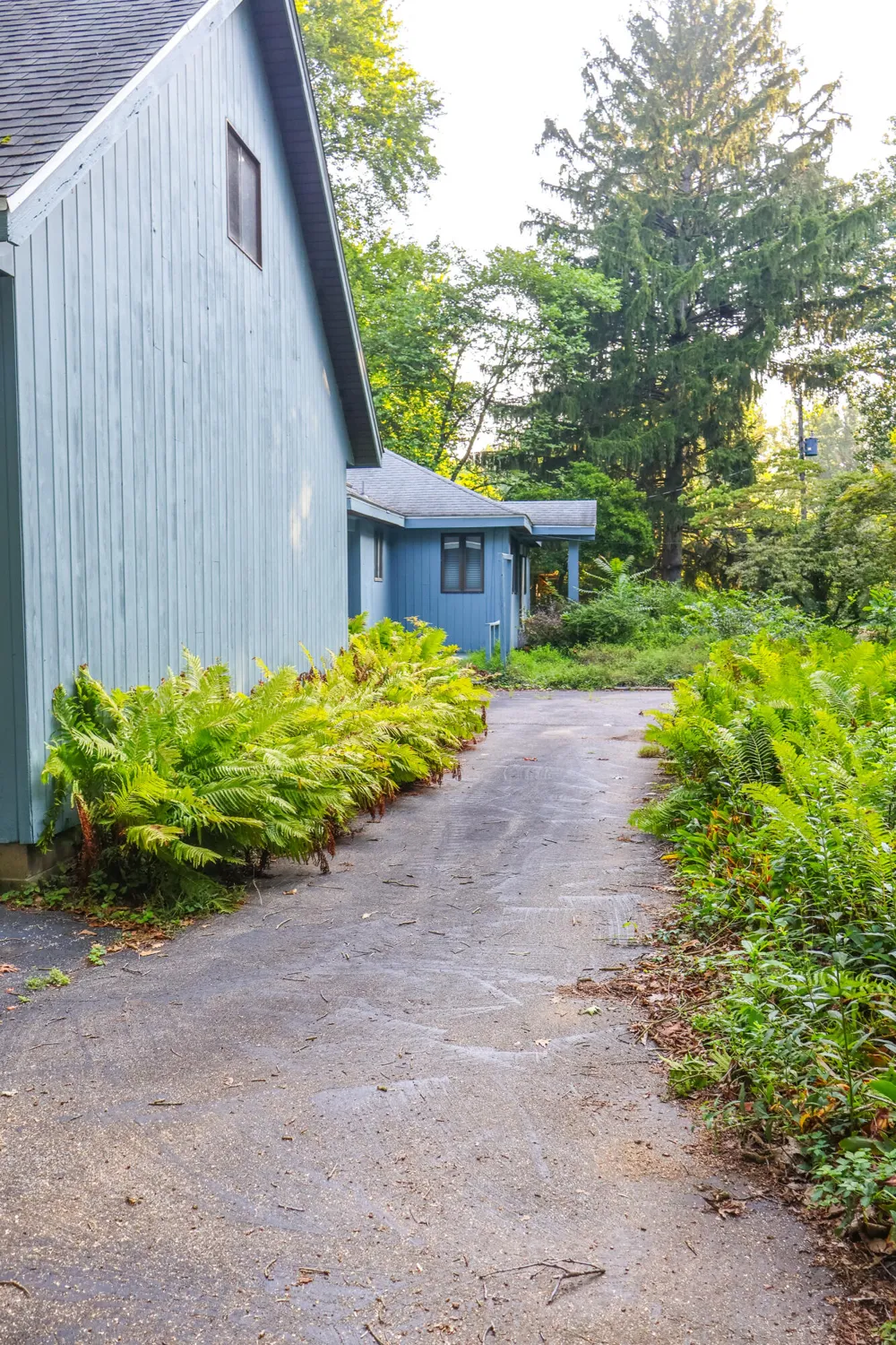 14770 Marquette Road Lakeside, MI 49128