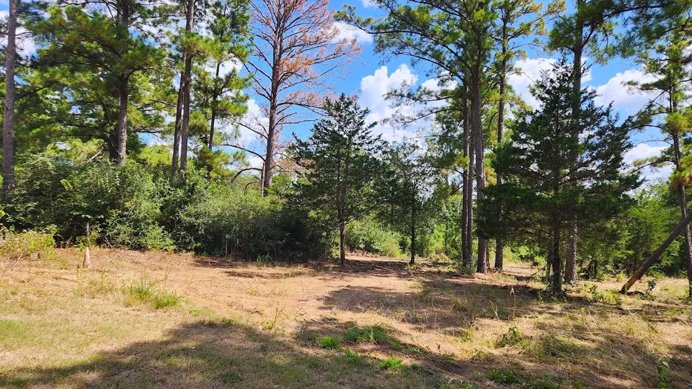 Modock Drive Bastrop, TX 78602