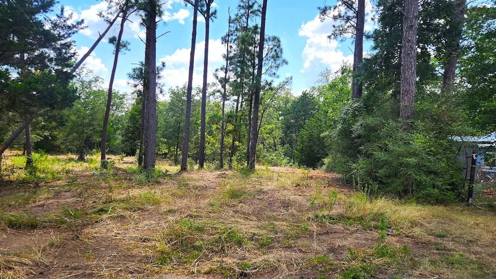 Modock Drive Bastrop, TX 78602