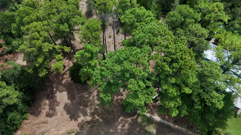 Modock Drive Bastrop, TX 78602