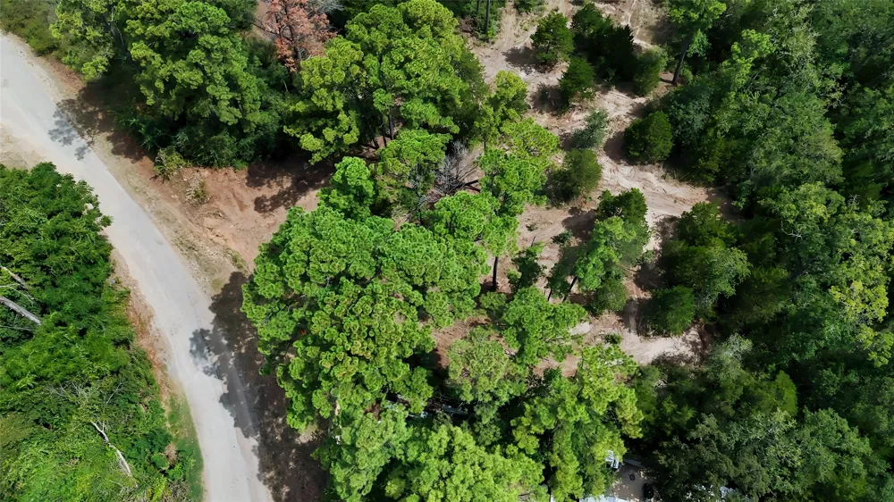Modock Drive Bastrop, TX 78602