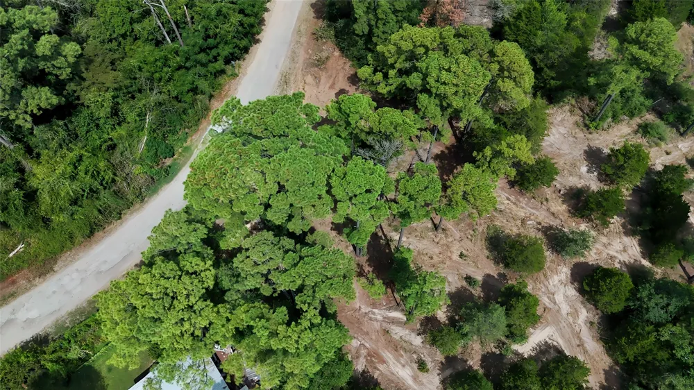 Modock Drive Bastrop, TX 78602