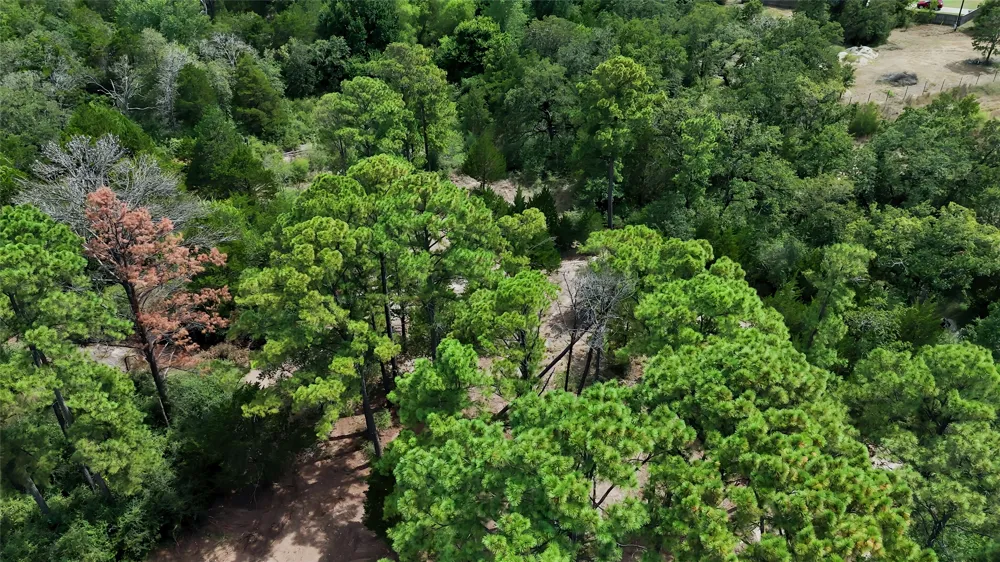 Modock Drive Bastrop, TX 78602
