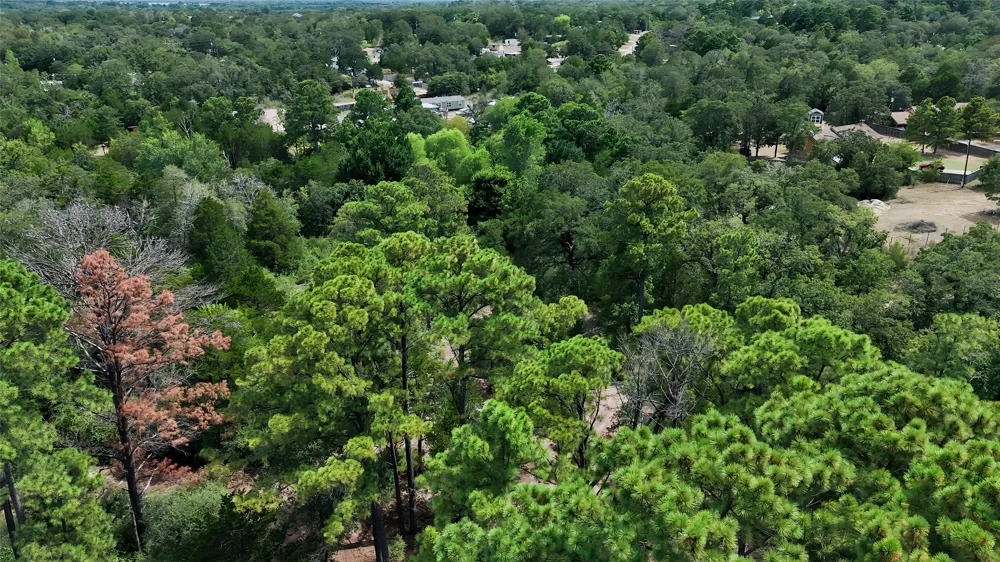 Modock Drive Bastrop, TX 78602