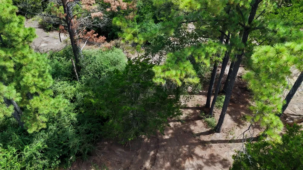 Modock Drive Bastrop, TX 78602