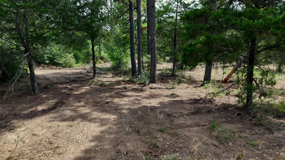 Modock Drive Bastrop, TX 78602