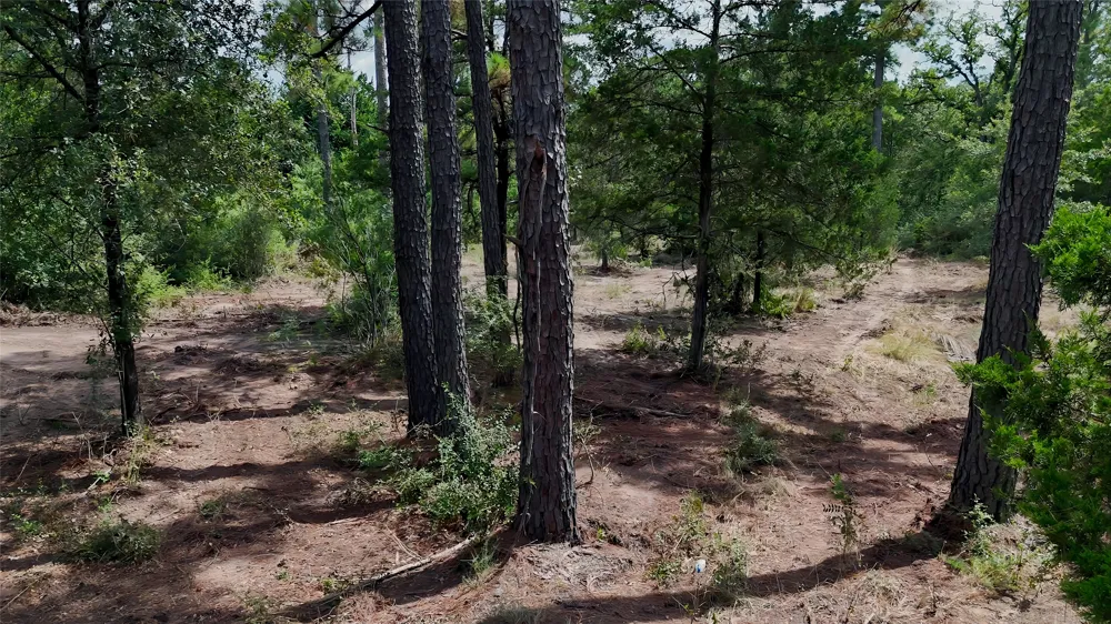 Modock Drive Bastrop, TX 78602