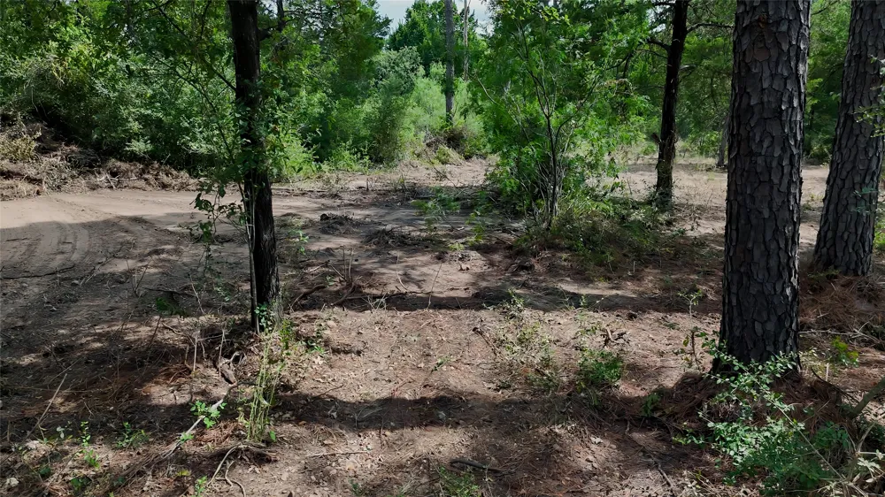 Modock Drive Bastrop, TX 78602