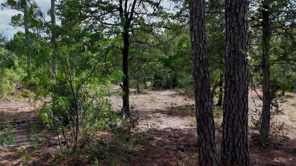 Modock Drive Bastrop, TX 78602