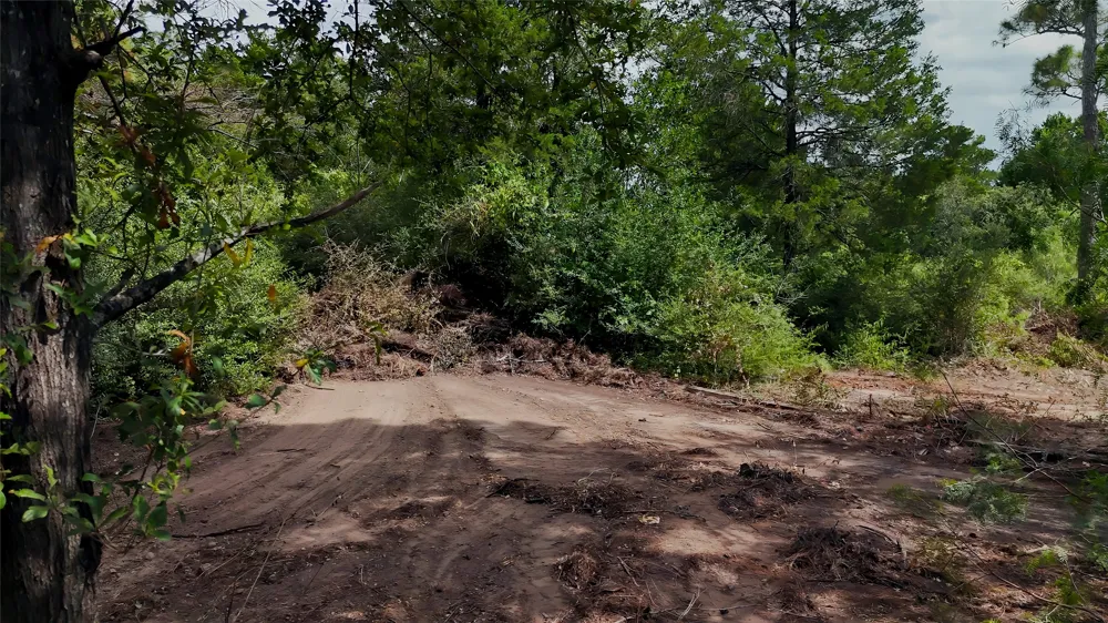 Modock Drive Bastrop, TX 78602