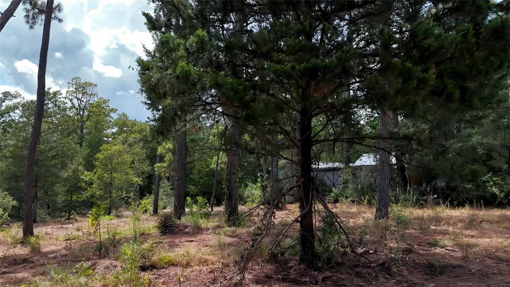 Modock Drive Bastrop, TX 78602