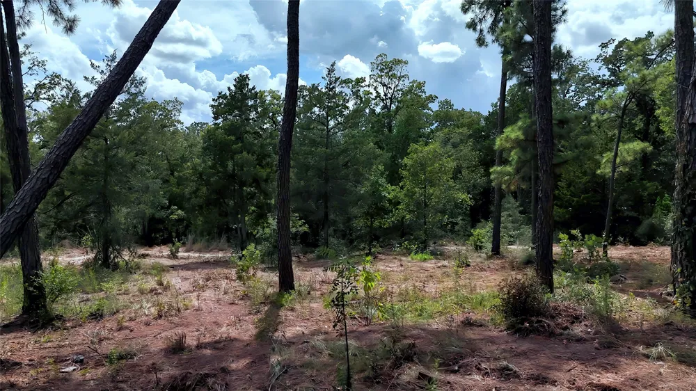 Modock Drive Bastrop, TX 78602