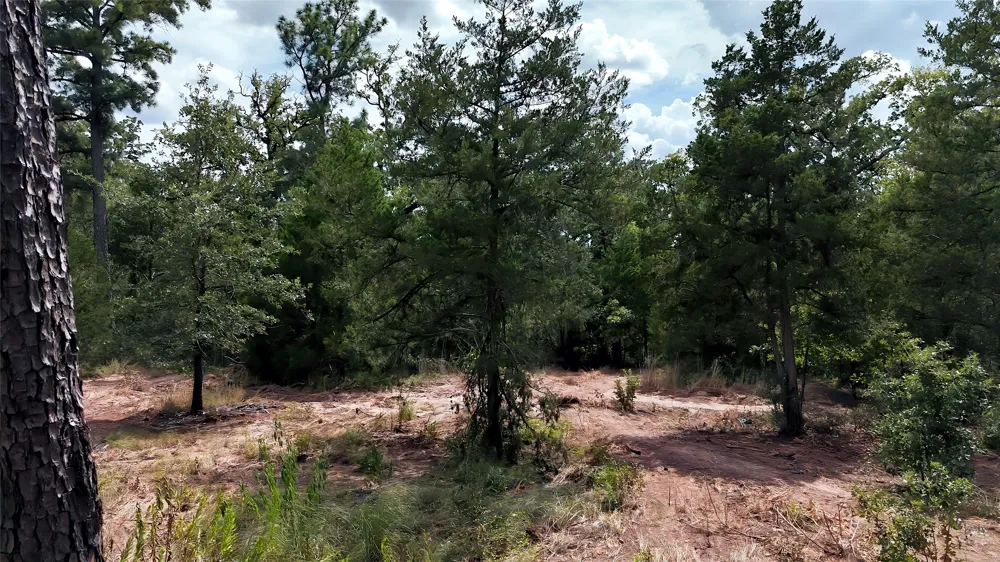 Modock Drive Bastrop, TX 78602