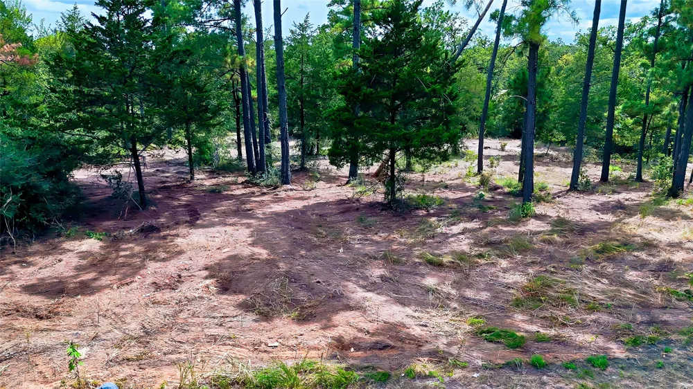 Modock Drive Bastrop, TX 78602
