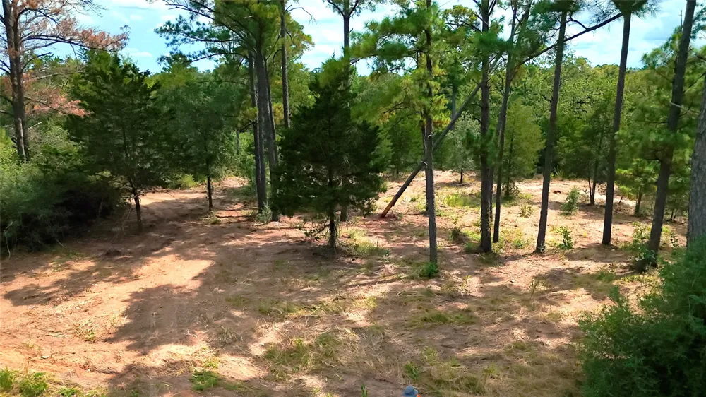 Modock Drive Bastrop, TX 78602