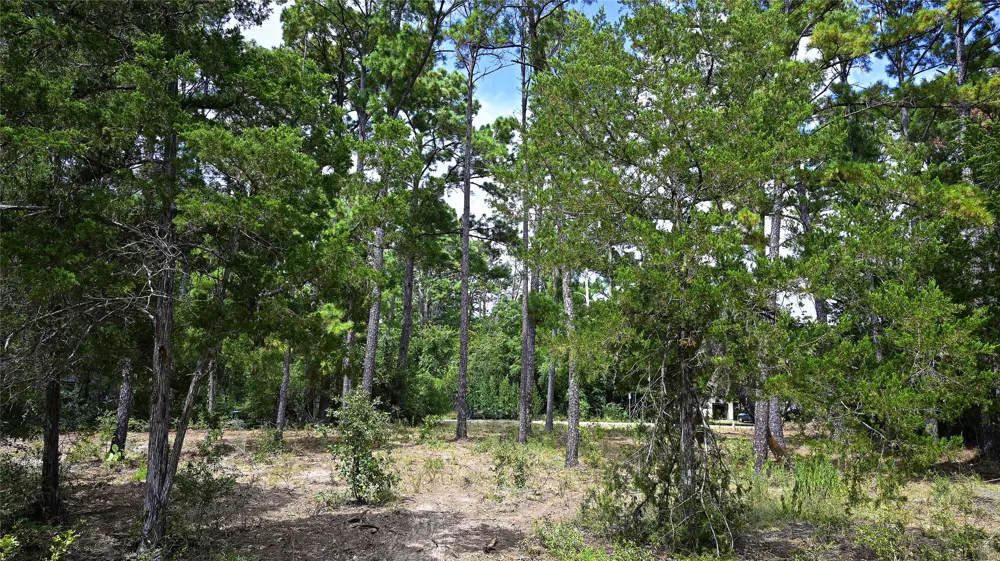 Modock Drive Bastrop, TX 78602