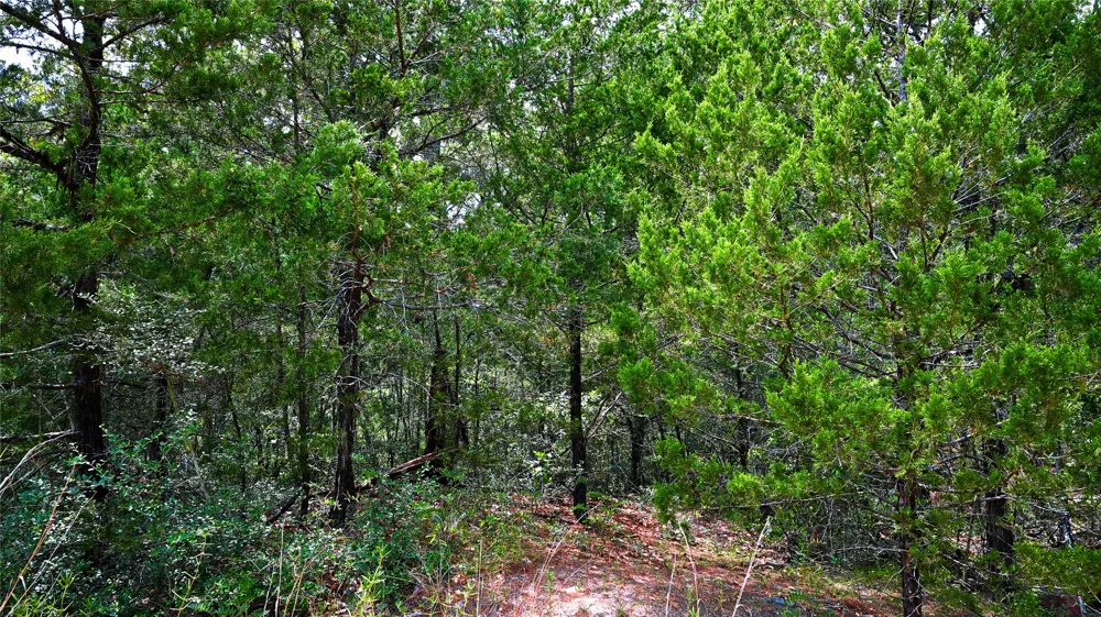 Modock Drive Bastrop, TX 78602