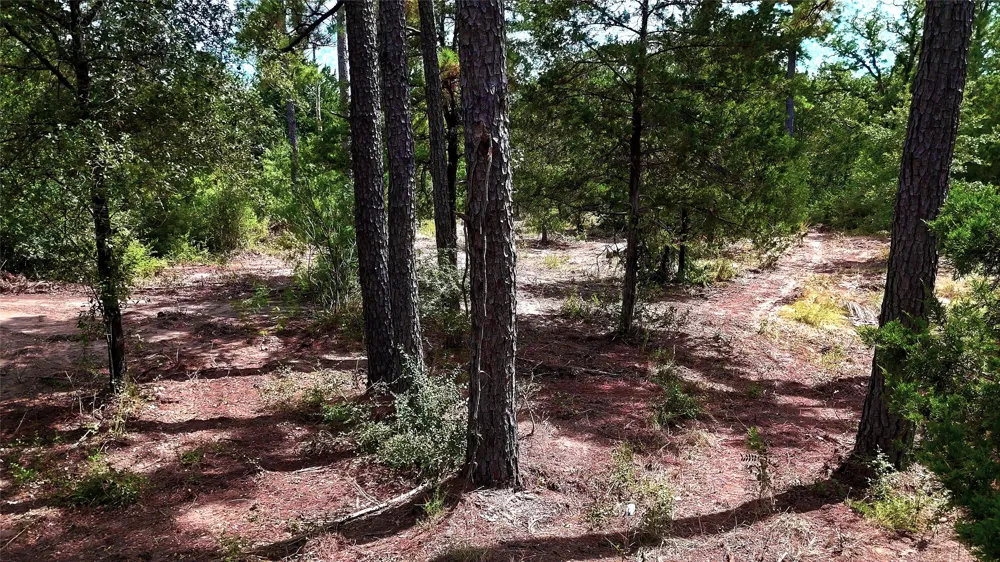 Modock Drive Bastrop, TX 78602