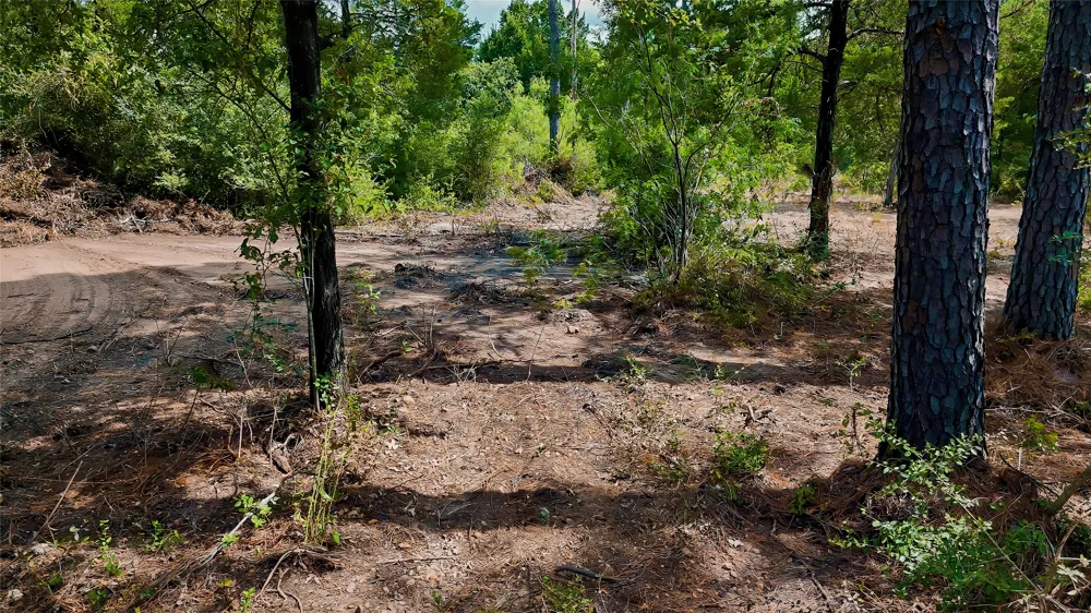 Modock Drive Bastrop, TX 78602