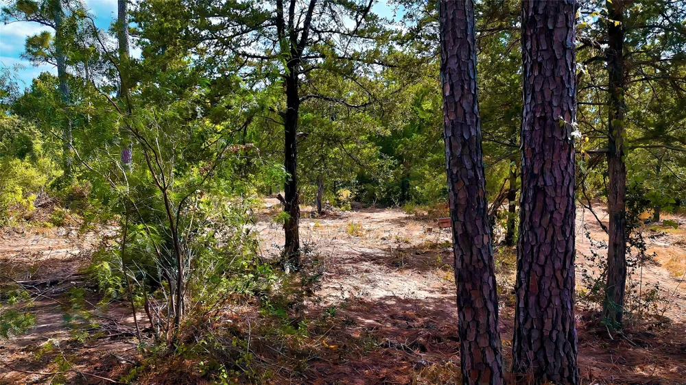 Modock Drive Bastrop, TX 78602