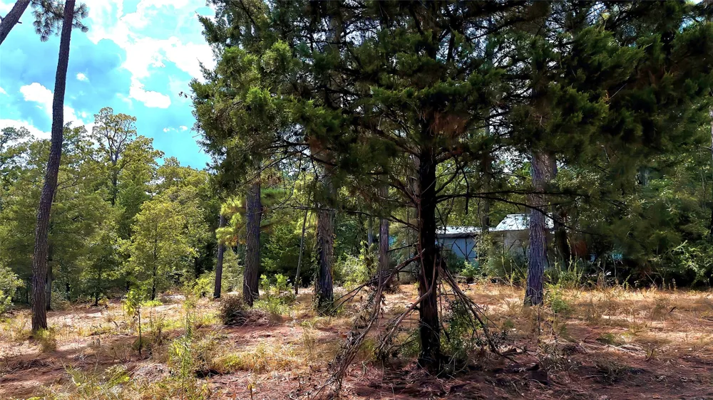 Modock Drive Bastrop, TX 78602