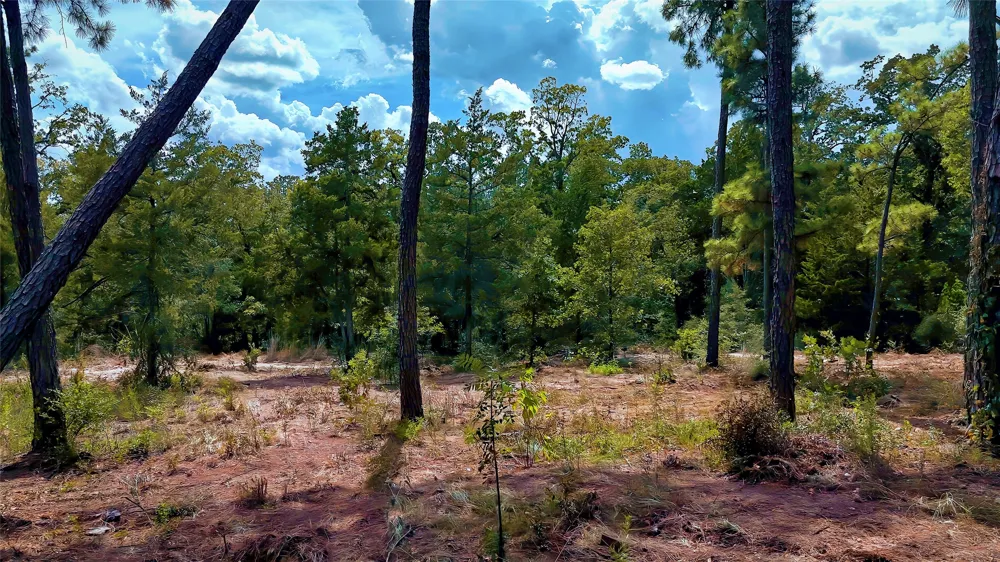 Modock Drive Bastrop, TX 78602