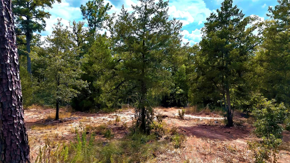 Modock Drive Bastrop, TX 78602