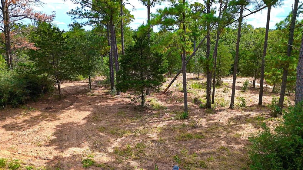 Modock Drive Bastrop, TX 78602