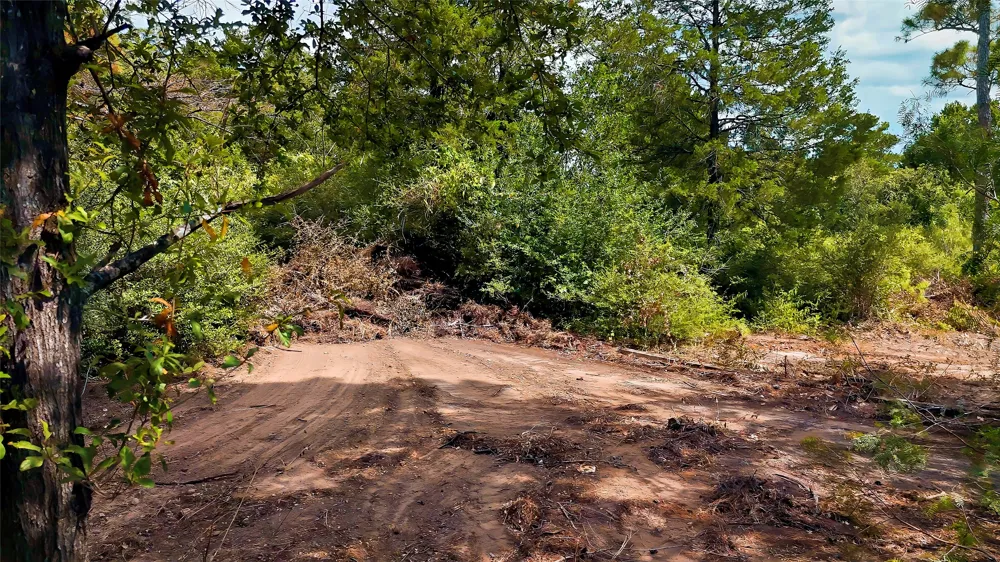Modock Drive Bastrop, TX 78602