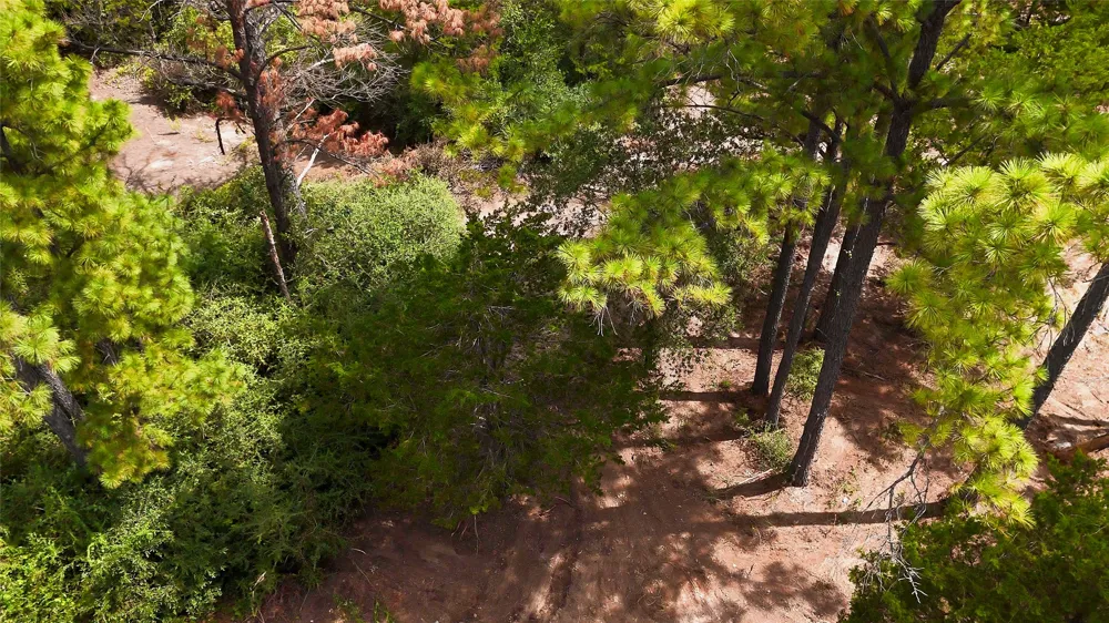 Modock Drive Bastrop, TX 78602