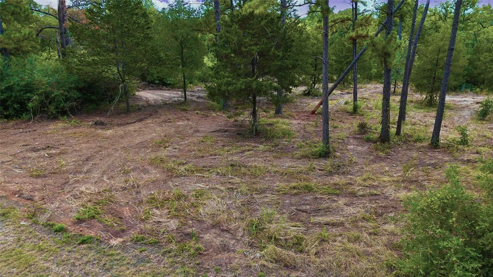 Modock Drive Bastrop, TX 78602