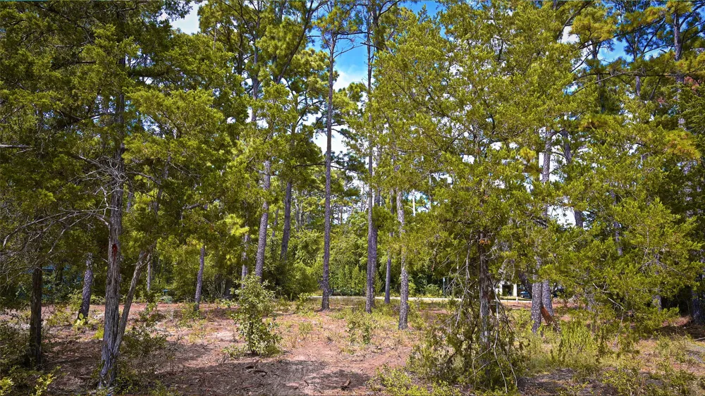 Modock Drive Bastrop, TX 78602