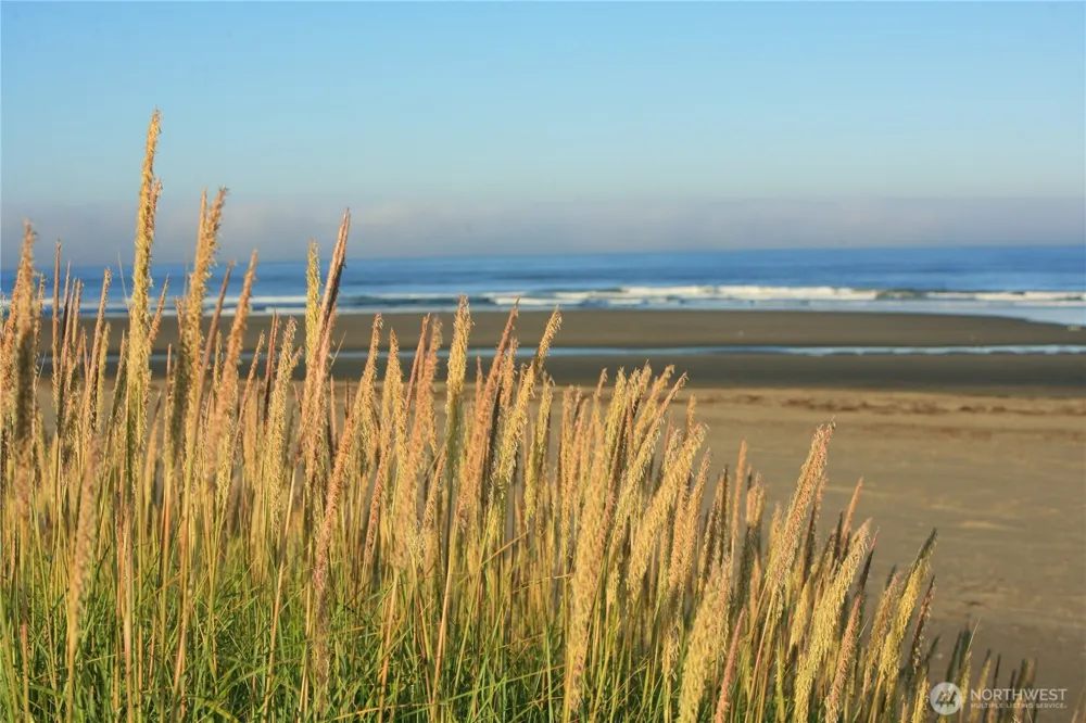 1600 W Ocean Avenue #1238 Westport, WA 98595